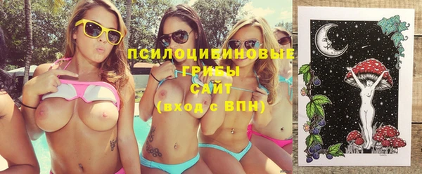 MDMA Premium VHQ Белокуриха