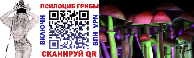 Псилоцибиновые грибы GOLDEN TEACHER  Большой Камень 